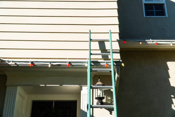 Best Insulated Siding Installation  in Baraga, MI