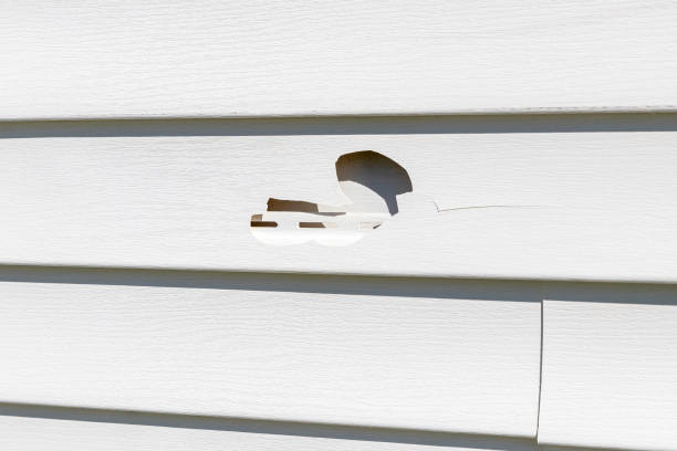 Affordable siding repair and maintenance services in Baraga, MI