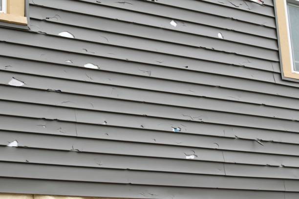 Best Engineered Wood Siding  in Baraga, MI