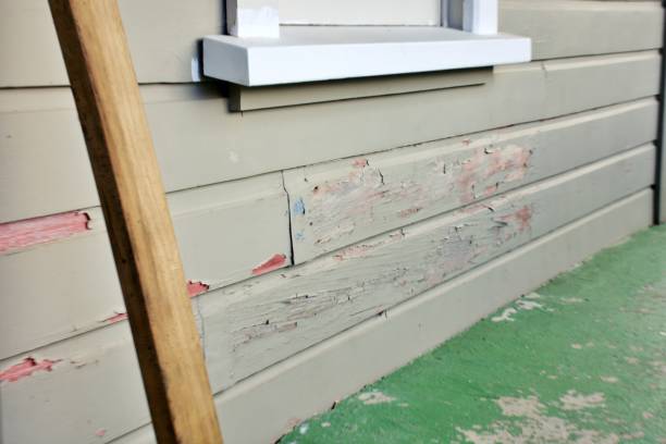 Best Storm Damage Siding Repair  in Baraga, MI