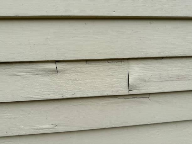 Best Stone Veneer Siding  in Baraga, MI