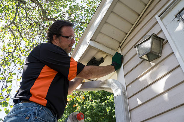 Best Custom Siding Design  in Baraga, MI
